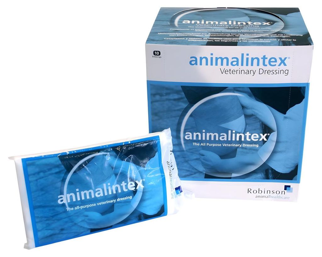 Robinson Animalentix pansements bleu bleu One Size Image du produit 