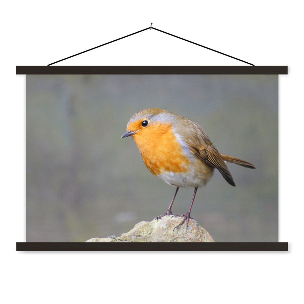 MuchoWow Textilposter Vogel - Rotkehlchen - Felsen 60x40 cm mit schwarzem Rahmen - Hölzernes