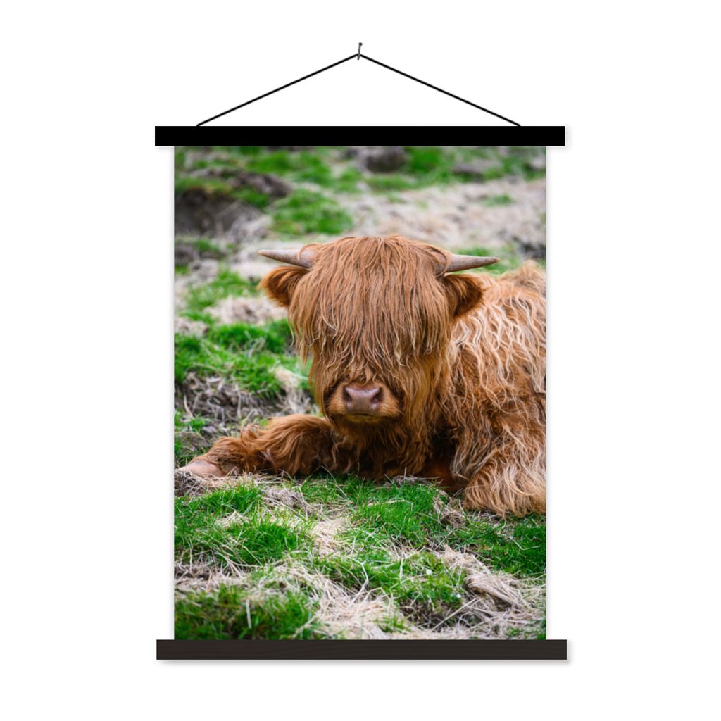 MuchoWow Textilposter Schottischer Highlander - Heu - Gras 60x80 cm mit schwarzem Rahmen - Plakathalter