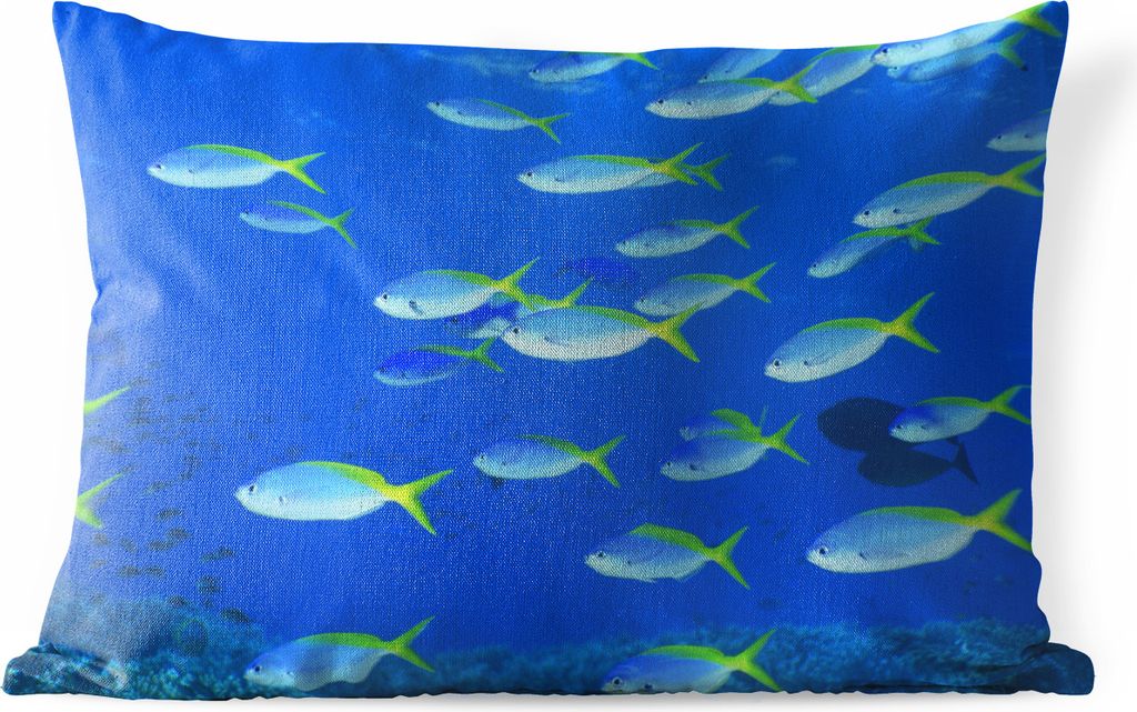 MuchoWow Outdoor Kissen - Fisch - Schule - Meer - 50x30 cm - Wetterfest - Lounge Kissen - Sofa kissen - Wohnzimmer Dekoration