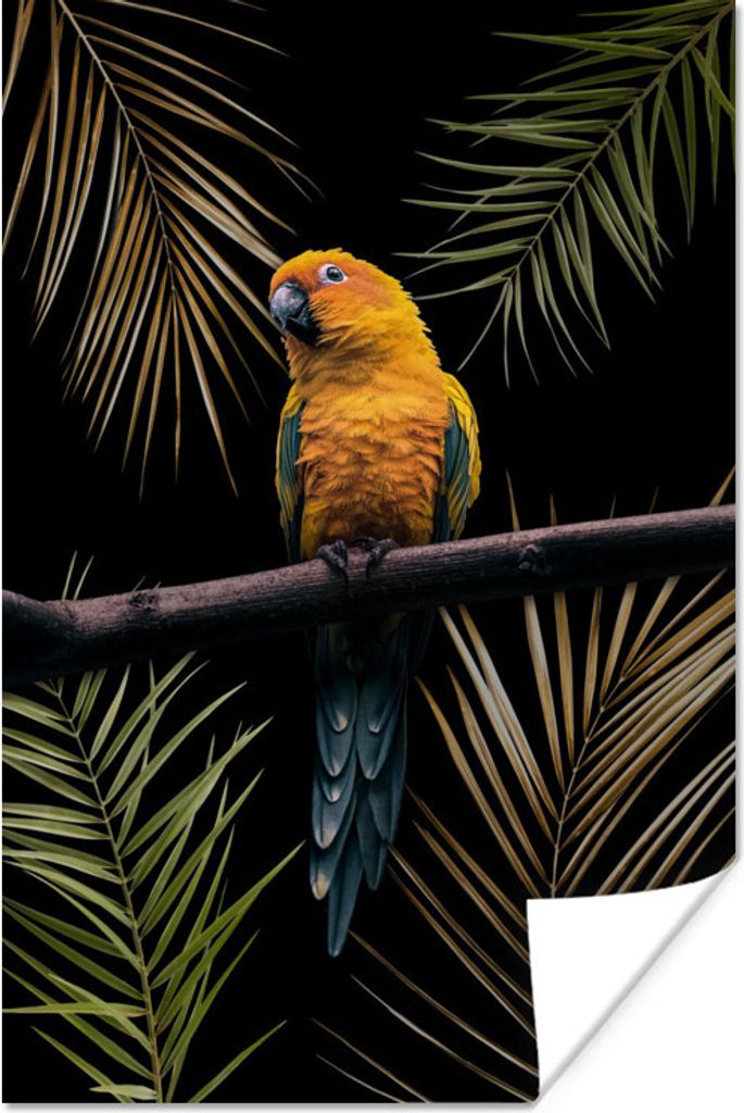 MuchoWow Poster Farn - Papagei - Pflanzen 60x90 cm - Wanddekoration