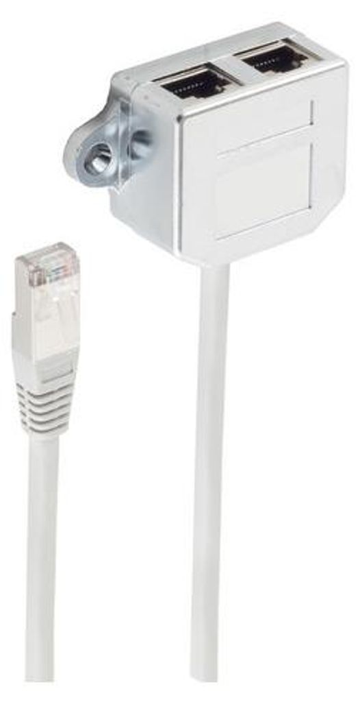 adaptateur de câble patch cat. 5e téléphone/éthernet 0,1 m Image du produit 