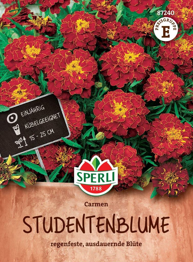 SPERLI Studentenblumensamen Carmen Tagetes patula 45 Produktbild 