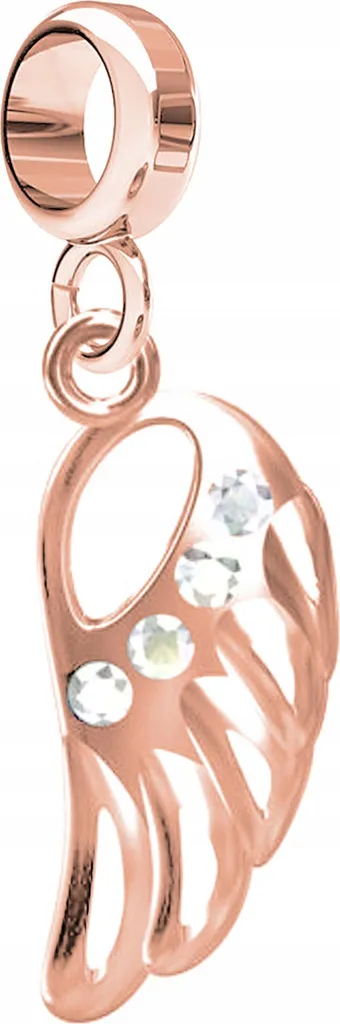 Charm Ali di Angelo Oro e Argento 925 con Zirconia | Gioielleria