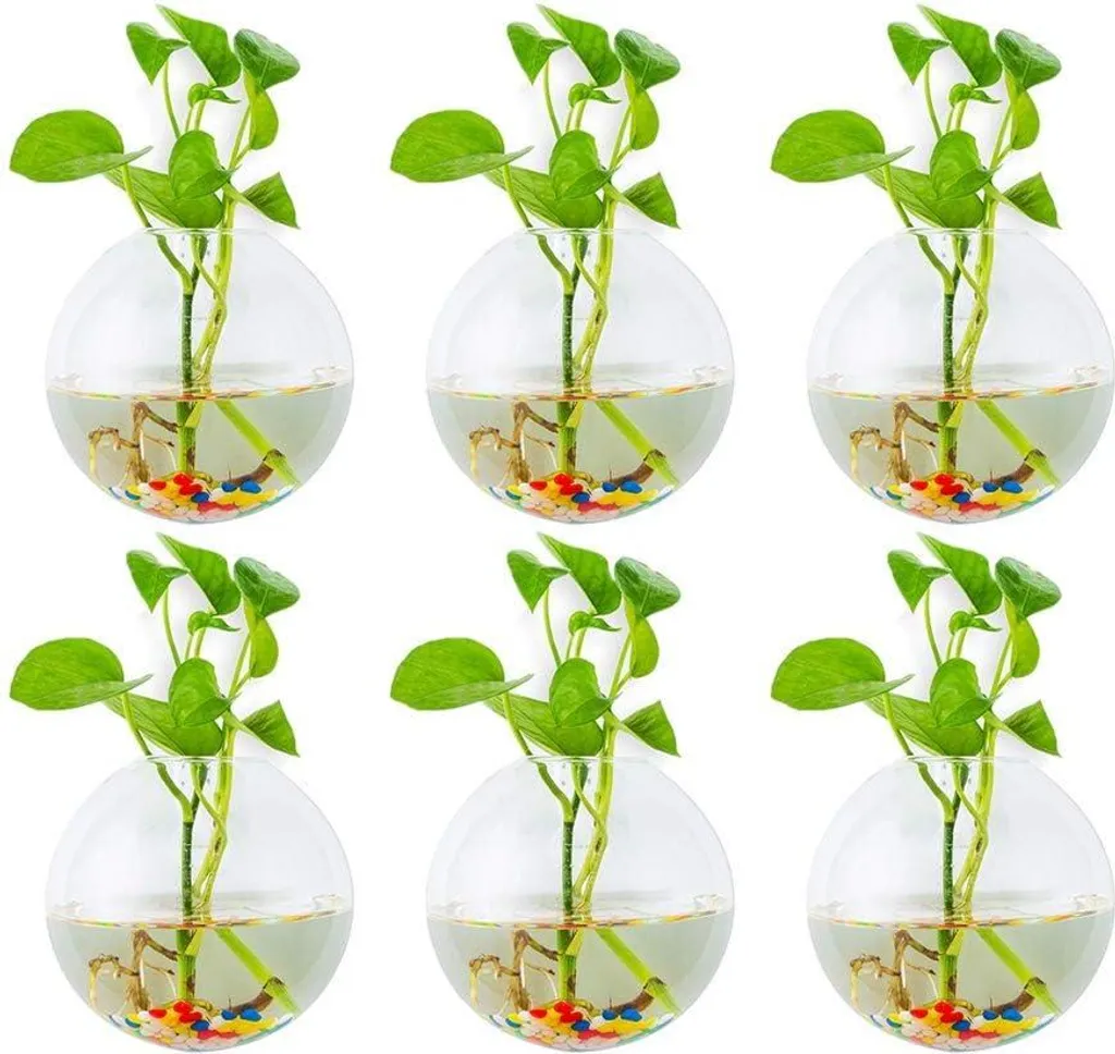 Jardinière murale en verre pour végétaliser les petits espaces