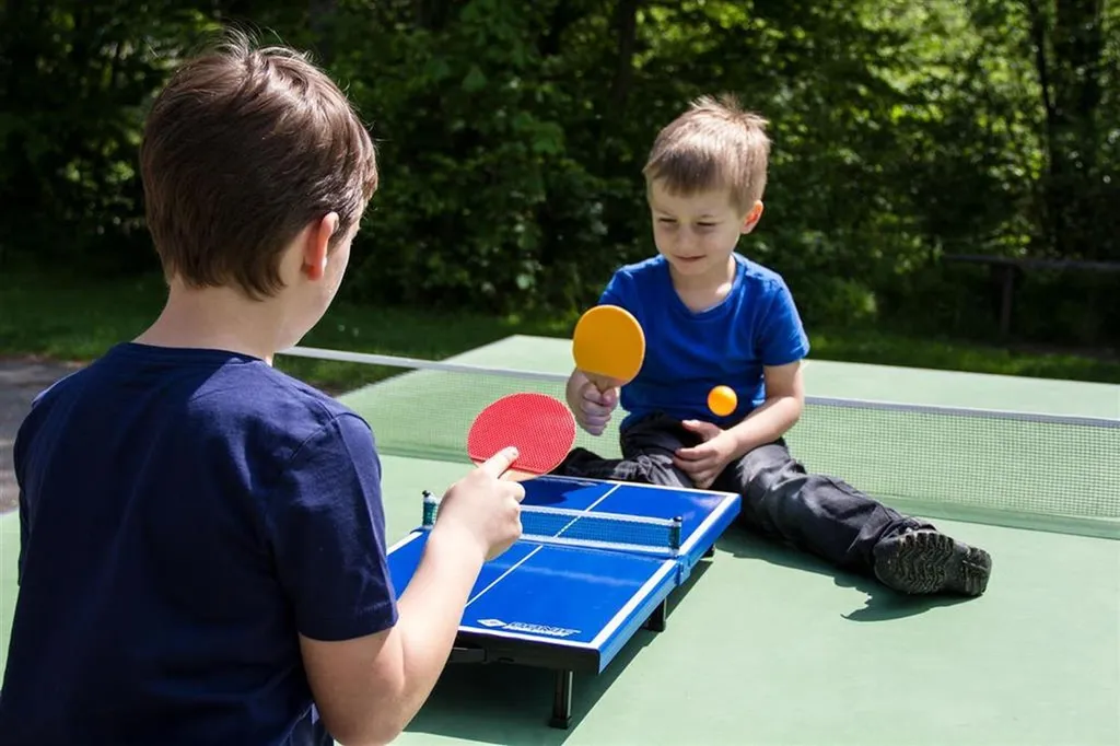 Table de TT Schildkröt MINI 66x33cm - Set Complet avec Filet et Raquettes - 16