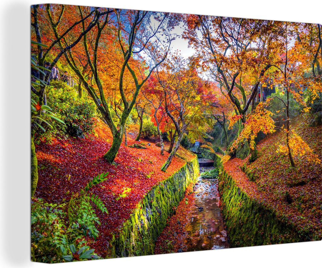 OneMillionCanvasses - Leinwandbilder - 140x90 cm, Blick auf die bunten Blätter der Ahornbäume, Wandbilder Kunstdruck Wanddekoration - Foto auf ...