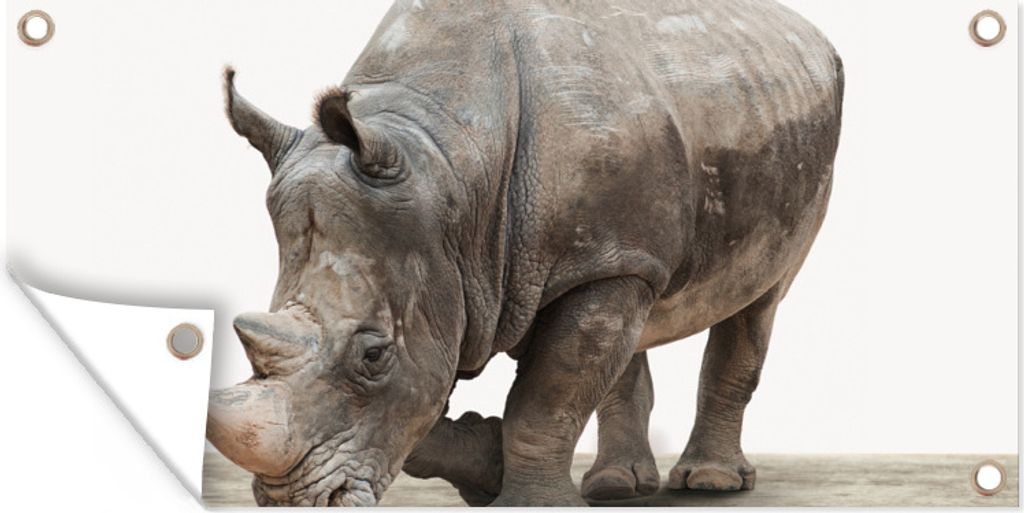 MuchoWow 80x40 cm Outdoor-Poster Gartendeko Sichtschutz Garten Poster für den Garten Nashorn - Jungen - Wildtiere - Kinder - Mädchen - Tiere