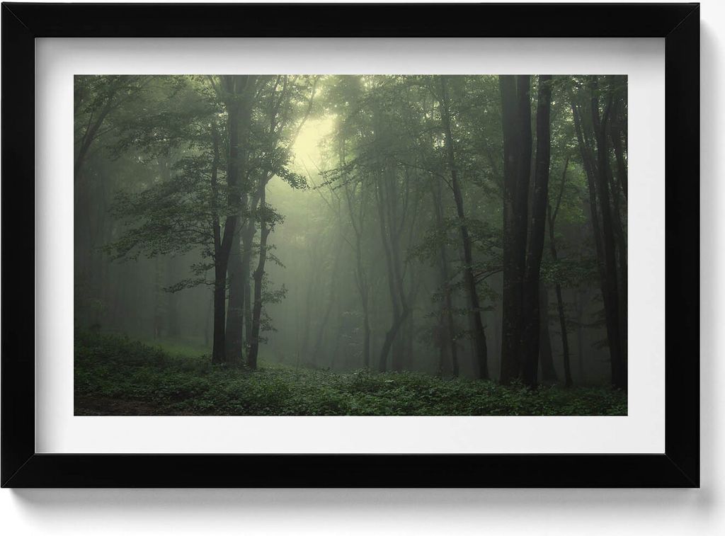 Nebliger Wald am Morgen– Wandbild mit Rahmen – Gerahmtes Bild – Wanddekoration – 30x20 cm – Schwarz Rahmen