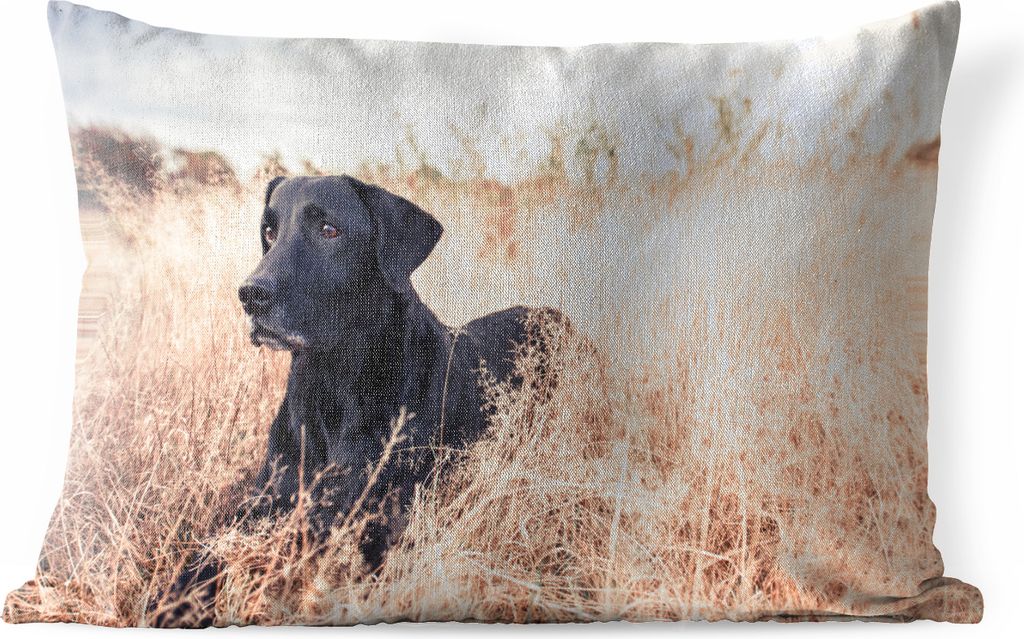 MuchoWow Outdoor Kissen - Ein Labrador Retriever liegt im hohen Gras - 50x30 cm - Wetterfest - Lounge Kissen - Sofa kissen - Wohnzimmer Dekoration