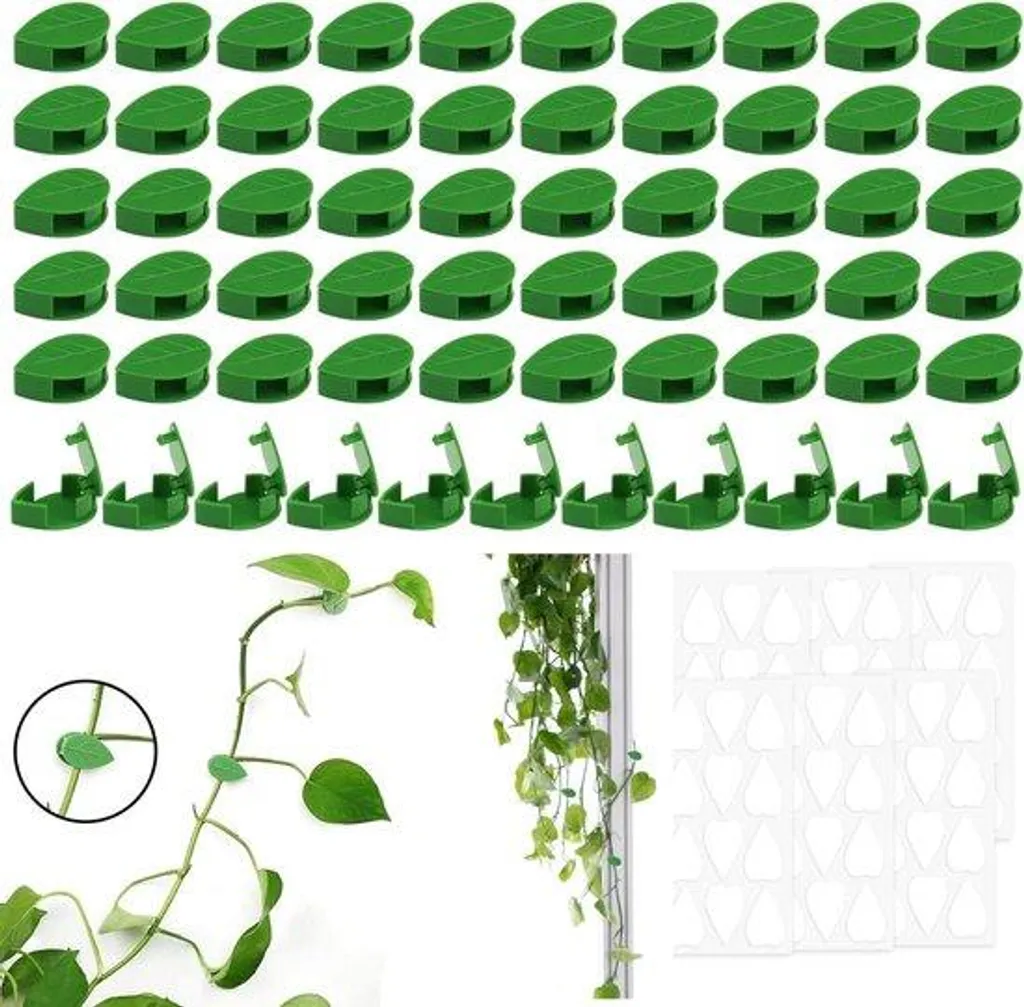 60 Clips pour plantes grimpantes sur mur - Fixation discrète tiges vertes