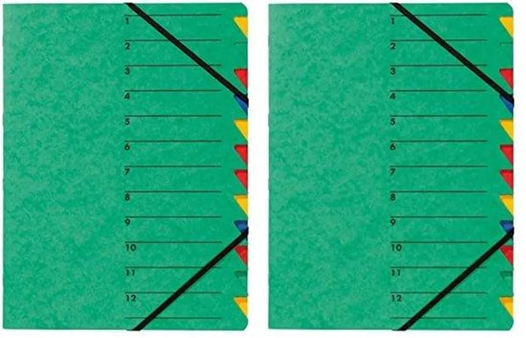 Organisateur de documents A4 vert pour bureau et comptabilité (x2)