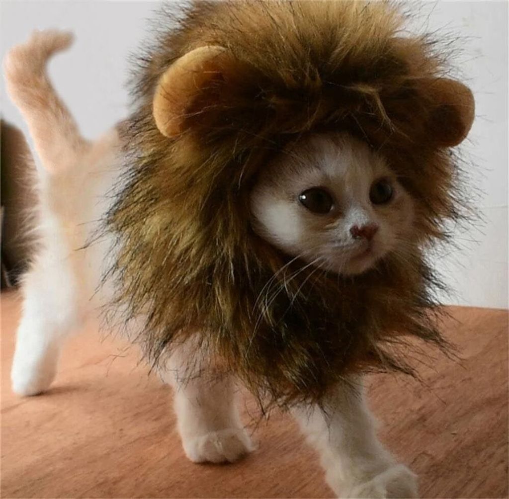 Süße Löwenkostüm, Löwenmähne mit Ohren für Katzen, kleine Hunde oder Welpen, für Halloween, Partys, Feste-Größe passend für Haustiere mi...