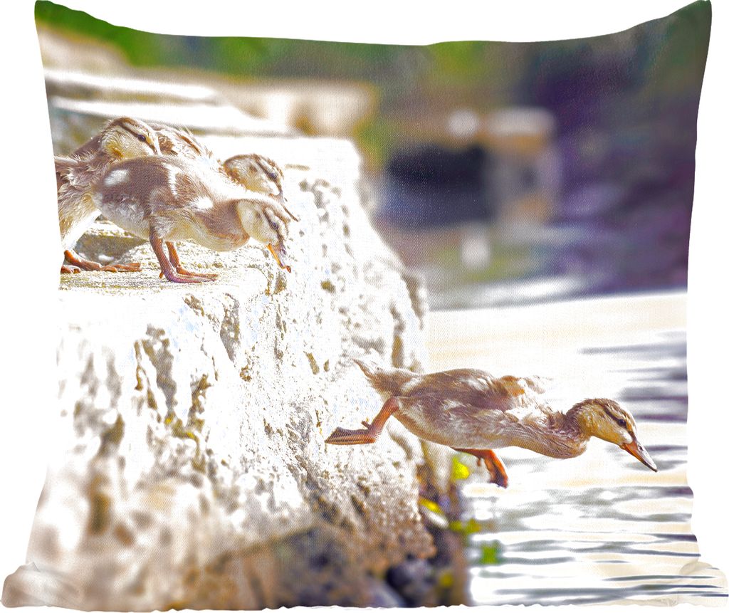 MuchoWow Zierkissen Sofakissen Wohnzimmer Dekokissen 60x60 cm Enten - Steine - Küken - Sitzfläche - Foto Polster