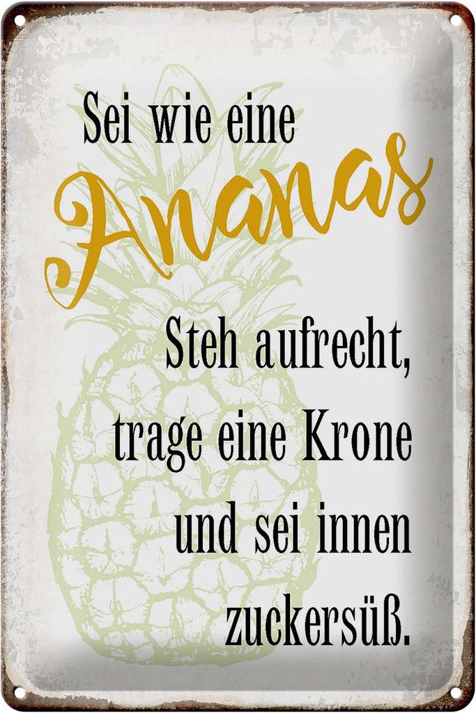 Blechschild Spruch 20x30cm sei Ananas aufrecht zuckersüß