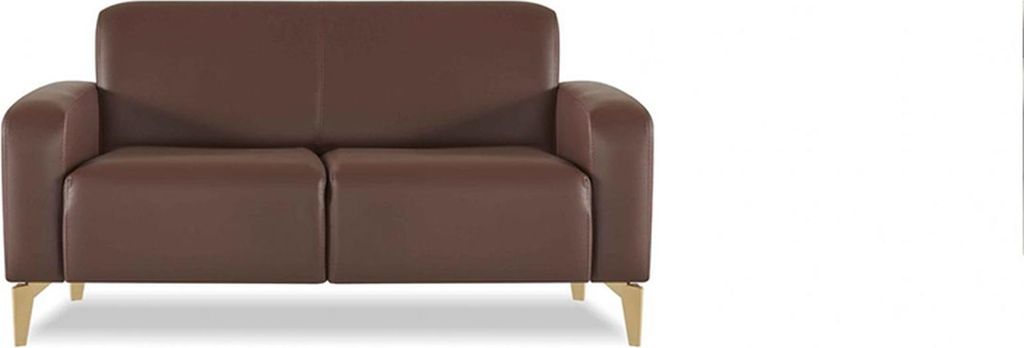 Sofa 2-Sitzer Braun Einfarbig Modern Design Arbeitszimmer Wohnzimmer