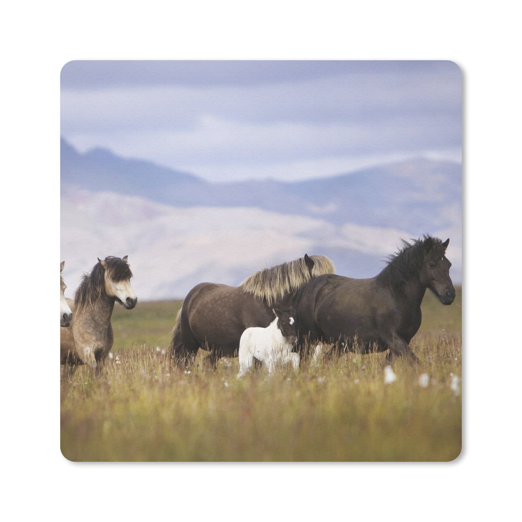 MuchoWow Mauspad Mousepad Pferde - Gras - Berge 20x20 cm - Mousepads - Maus Mat - Pad - Mausunterlage - Desk Mat - Bureauartikeln