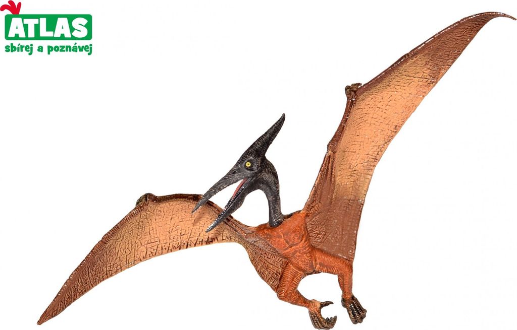 C - Figur Dino Pteranodon 22 cm
