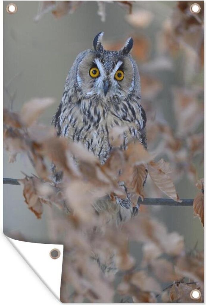 MuchoWow 60x90 cm Outdoor-Poster Gartendeko Sichtschutz Garten Poster für den Garten Eine Waldohreule in einem Baum im Herbst
