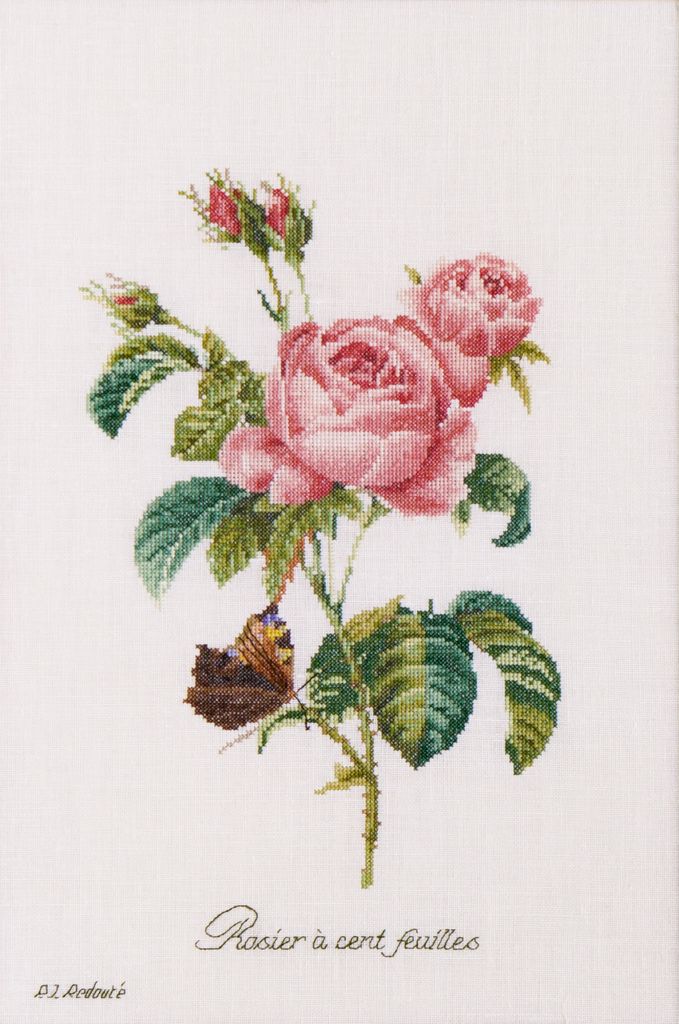 Thea Gouverneur zestaw do haftu krzyżykowego "Rose Redouté Evenweave", 26x38cm
