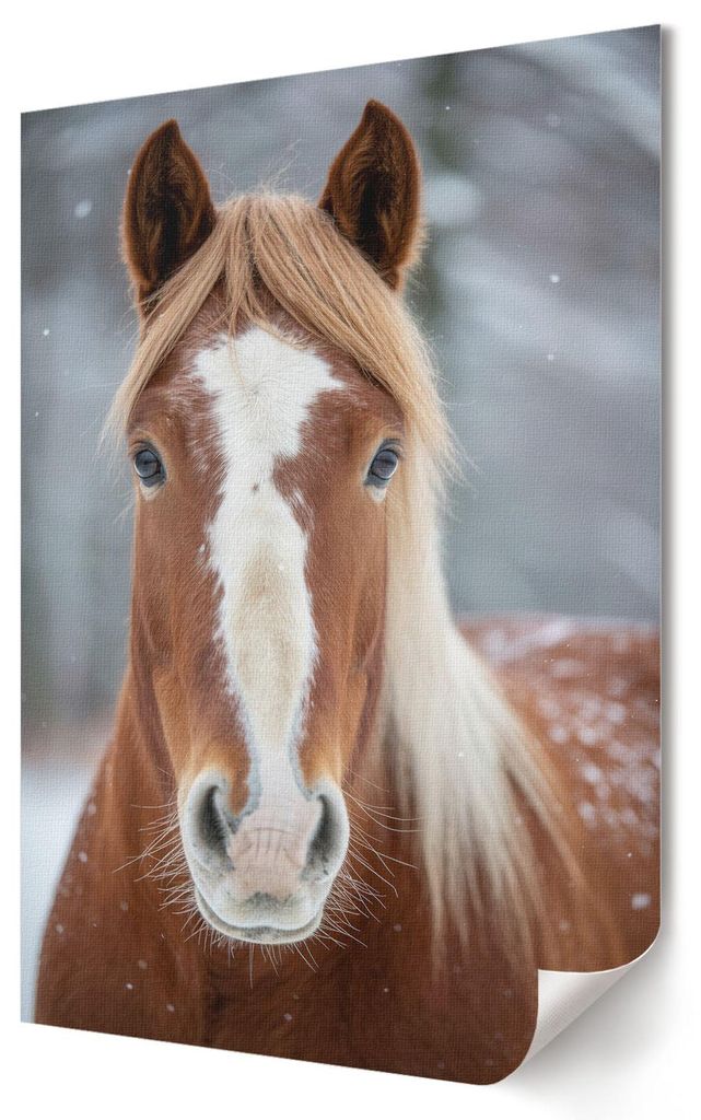 Pferd im Winter- Kunstdruck A1 (59x84 cm) - Modern, rustikal- Wandbild für Wohnzimmer Schlafzimmer & Flur, Modernes Poster Wanddeko, Ungerahmt