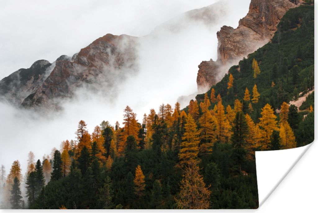 MuchoWow Poster Berg - Nebel - Wald 30x20 cm - Plakate - Print