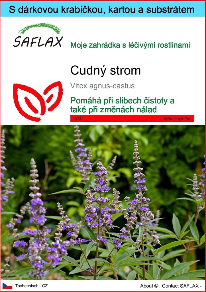 SAFLAX Dárková sada - cudný strom - Vitex agnus-castus - 30 Obrázek produktu 