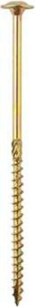 A single gold-colored screw is shown against a white background.