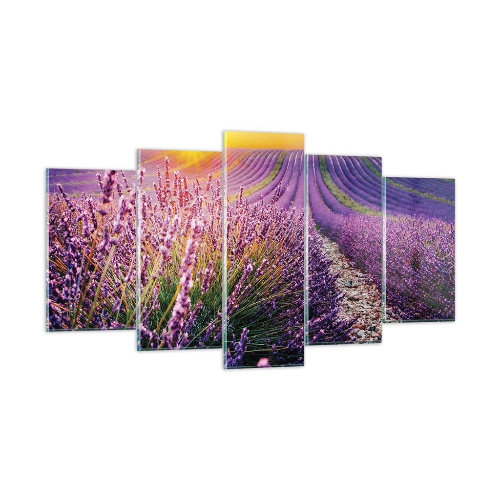Bilder auf glas - 5 Teile - Feld Lavendel Sonne - 160x85cm - Glasbilder - Wandbilder - Bilder - zum Aufhängen bereit - Wanddekoration aus Glas - G...