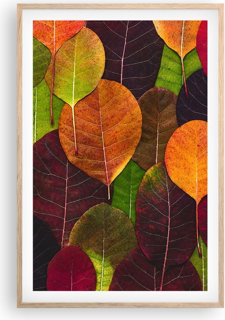 Gerahmtes Poster - Rahmen in heller Eiche - Herbst Blätter Grafiken - 61x91,5 cm - Wand Bild - Wanddeko - Wandbilder - Kunstposter - Wandposter - ...