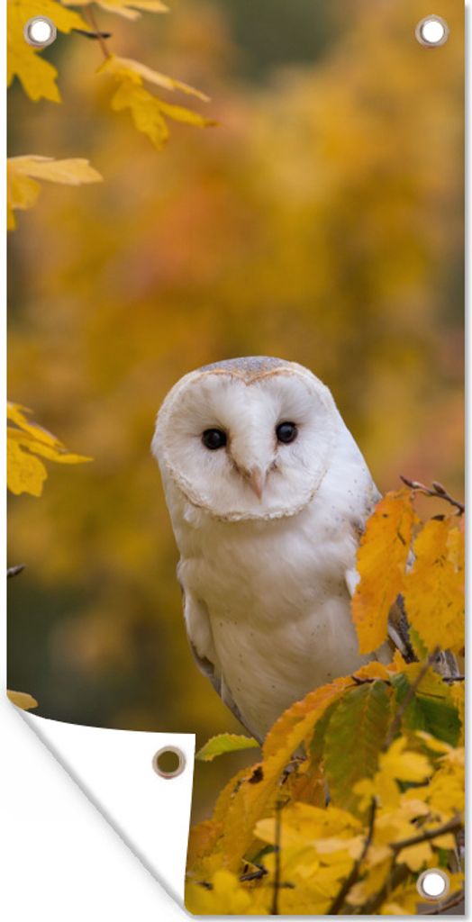MuchoWow 30x60 cm Outdoor-Poster Gartendeko Sichtschutz Garten Poster für den Garten Vogel - Eule - Herbst