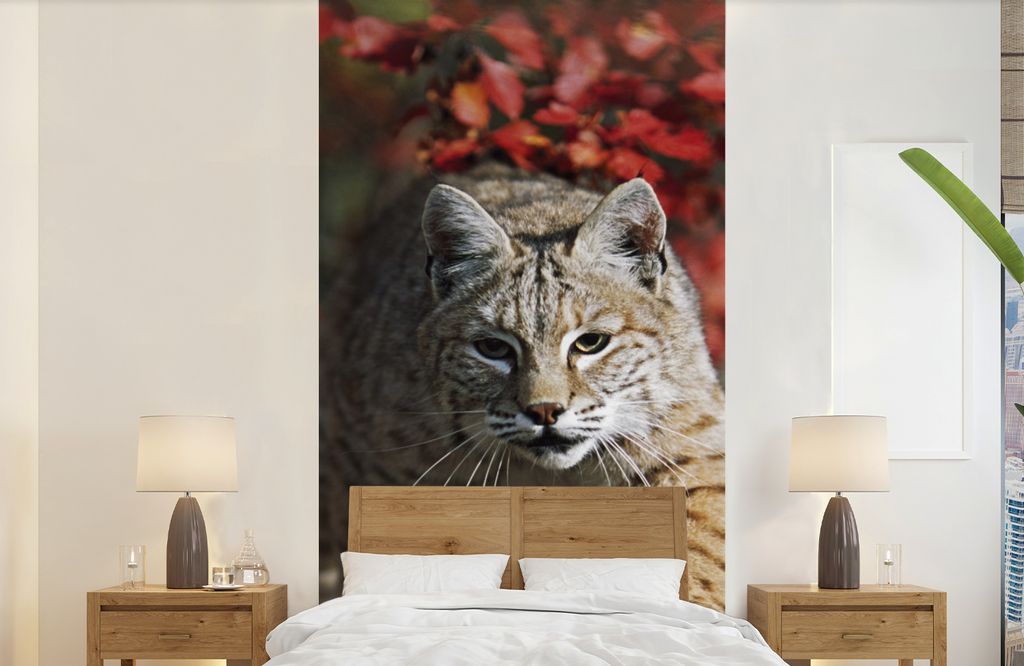 MuchoWow Fototapete für Wohnzimmer oder Schlafzimmer Wandtapete Vinyl Motivtapete Luchs - Baumstamm - Herbst - 120x240 cm - Hintergrundbild