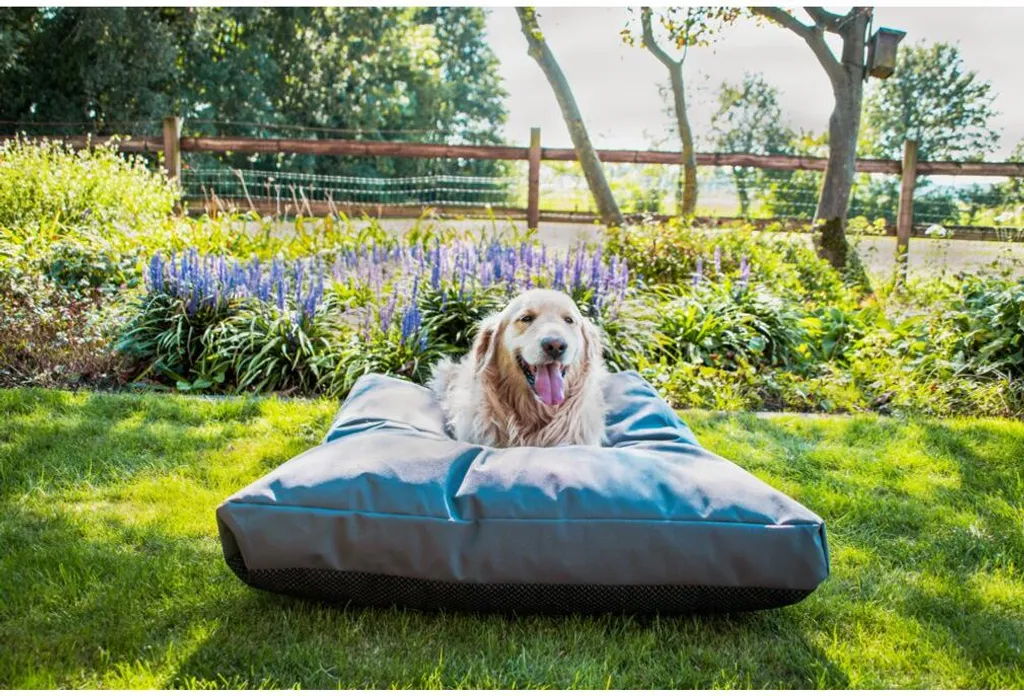 Lets Sleep Cushy Cloud Coussin pour chien extérieur Anthracite M - 3