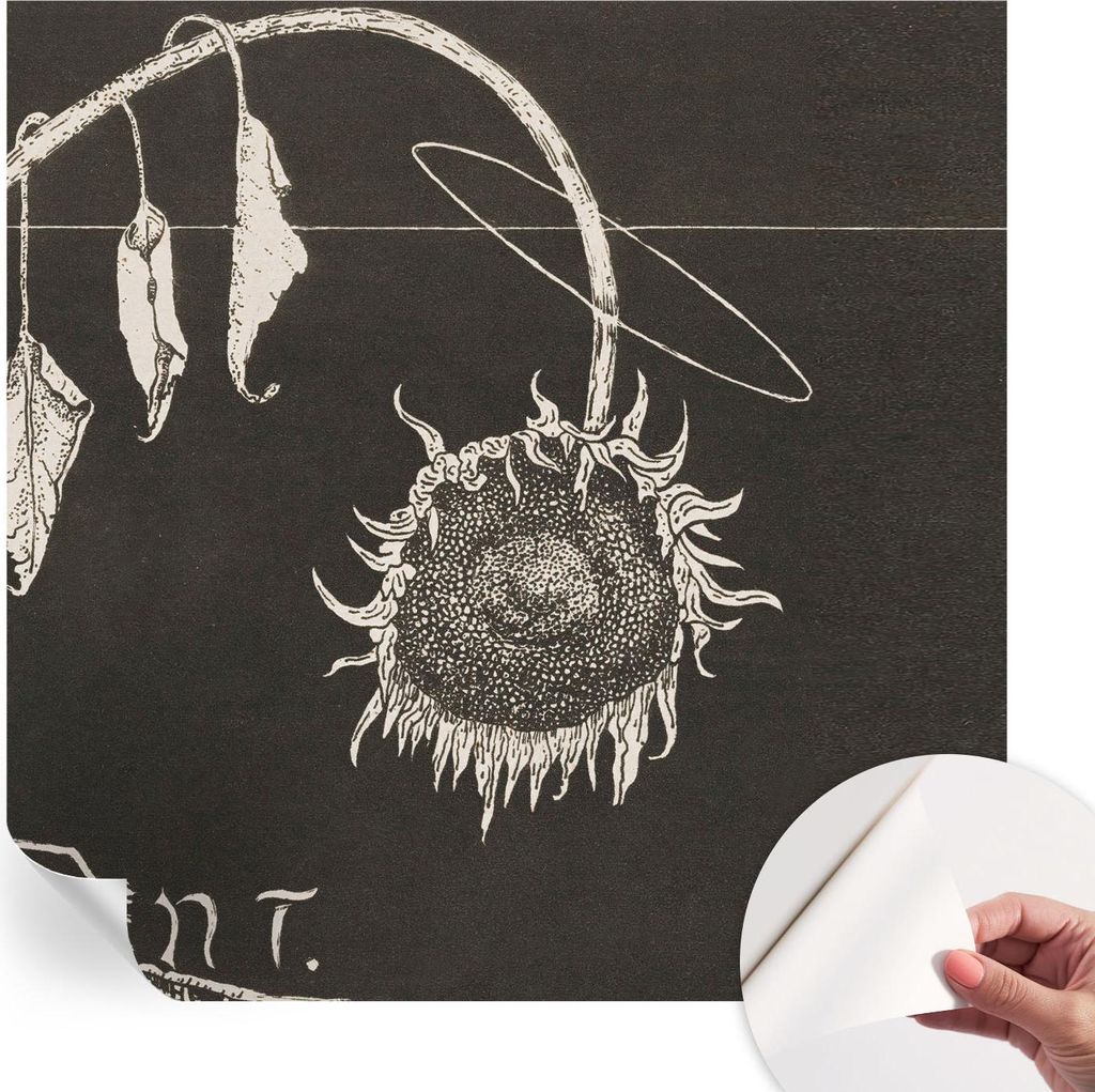Selbstklebende Wandtapete - Dekorative Tapete für Wohnzimmer - Klebefolie für Wandbilder - Tapetenfolie für Wanddekoration - 250x250 cm - Nostal...