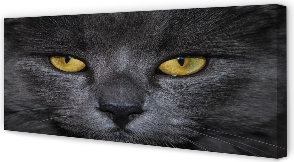 Leinwandbild 125x50 Wandkunst Schwarze Katze