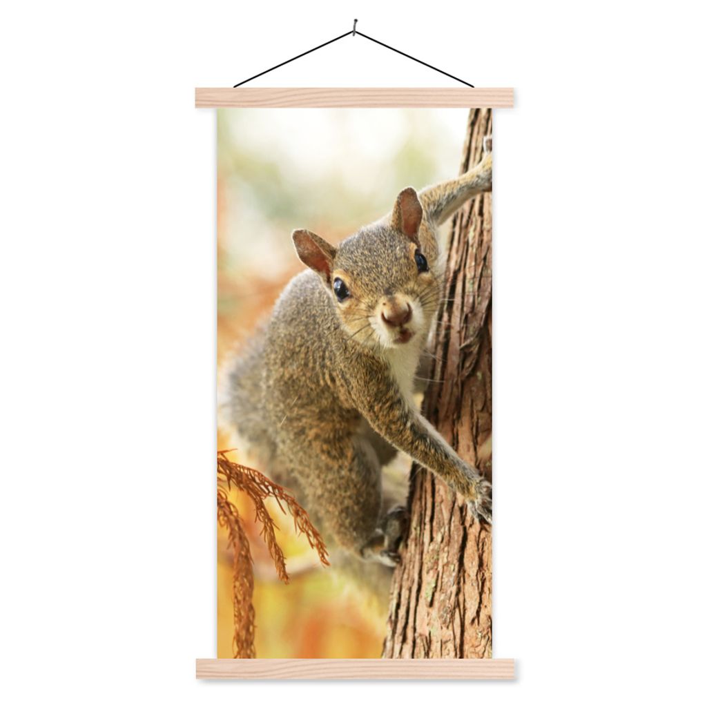 MuchoWow Textilposter Eichhörnchen - Baum - Herbst 60x120 cm mit holzfarbenen Rahmen - Holz