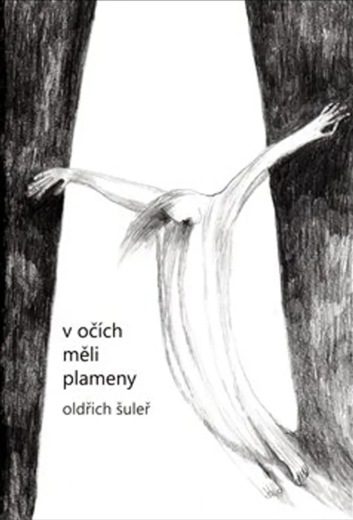 V očích měli plameny - Comprendre le sacrifice de Jan Zajíc en 1969