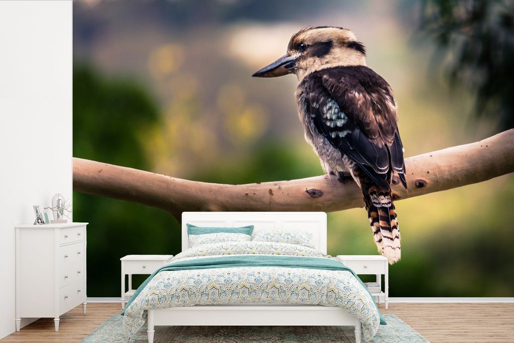 MuchoWow Fototapete für Wohnzimmer oder Schlafzimmer Wandtapete Vinyl Motivtapete Ein dunkler Kookaburra oder lachender Vogel in der Natur auf e...