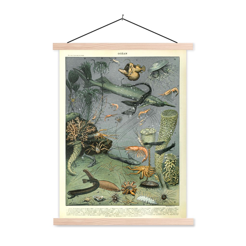 MuchoWow Textilposter Meer - Korallen - Natur 120x160 cm mit holzfarbenen Rahmen - Plakatkarton