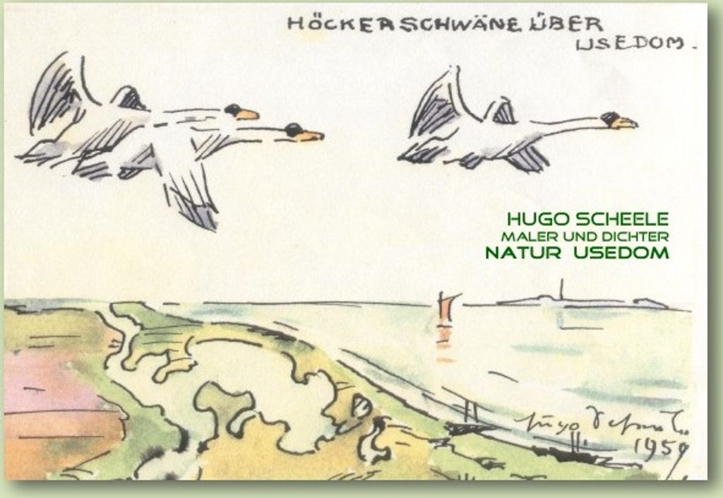 Hugo Scheele Natur Usedom