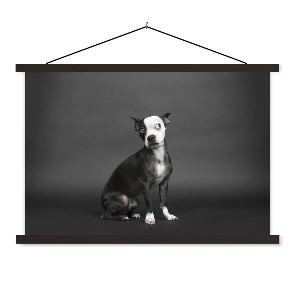MuchoWow Textilposter Hund - Spot - Porträt 150x100 cm mit schwarzem Rahmen