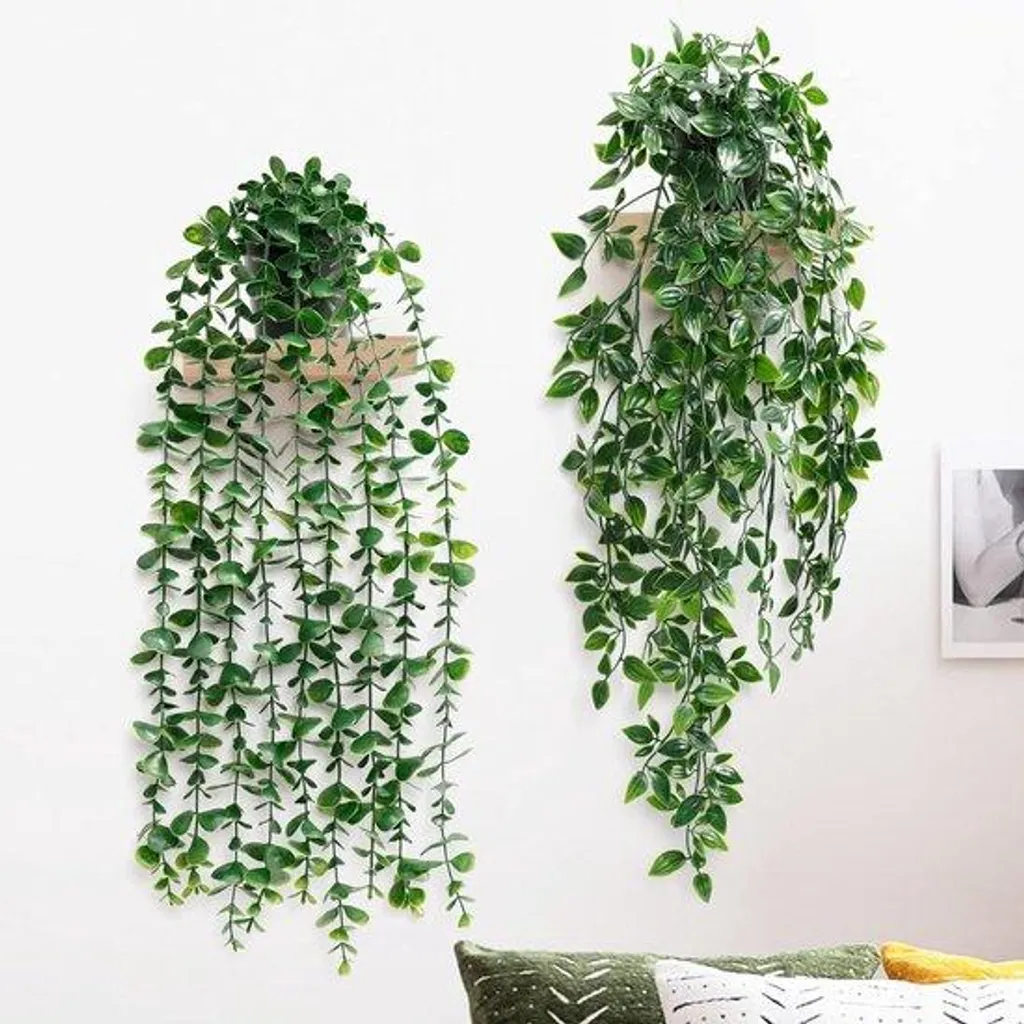 Duo de Plantes Suspendues 50cm avec Feuillage Eucalyptus et Mandala