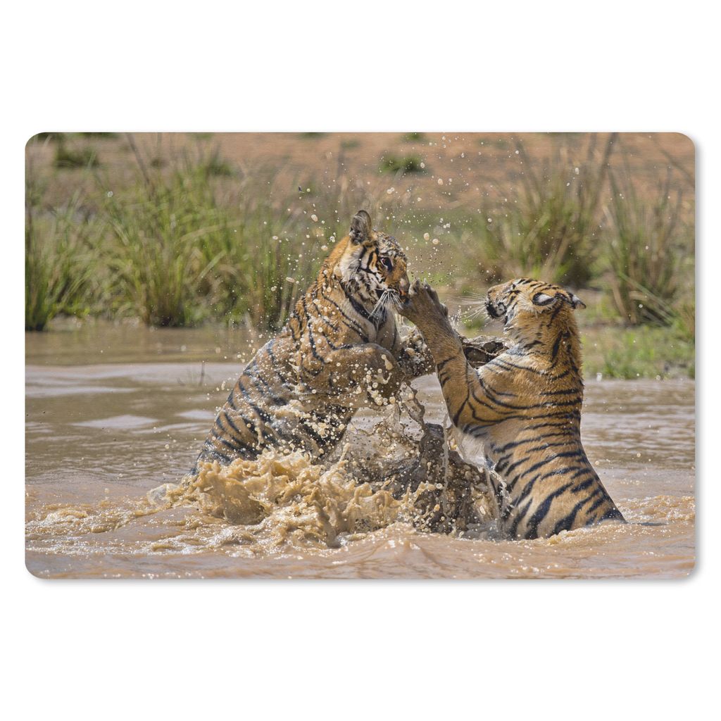 MuchoWow Schreibtischunterlage Junge Tiger spielen im Wasser 60x40 cm - XXL Mauspad - Großes Mauspad