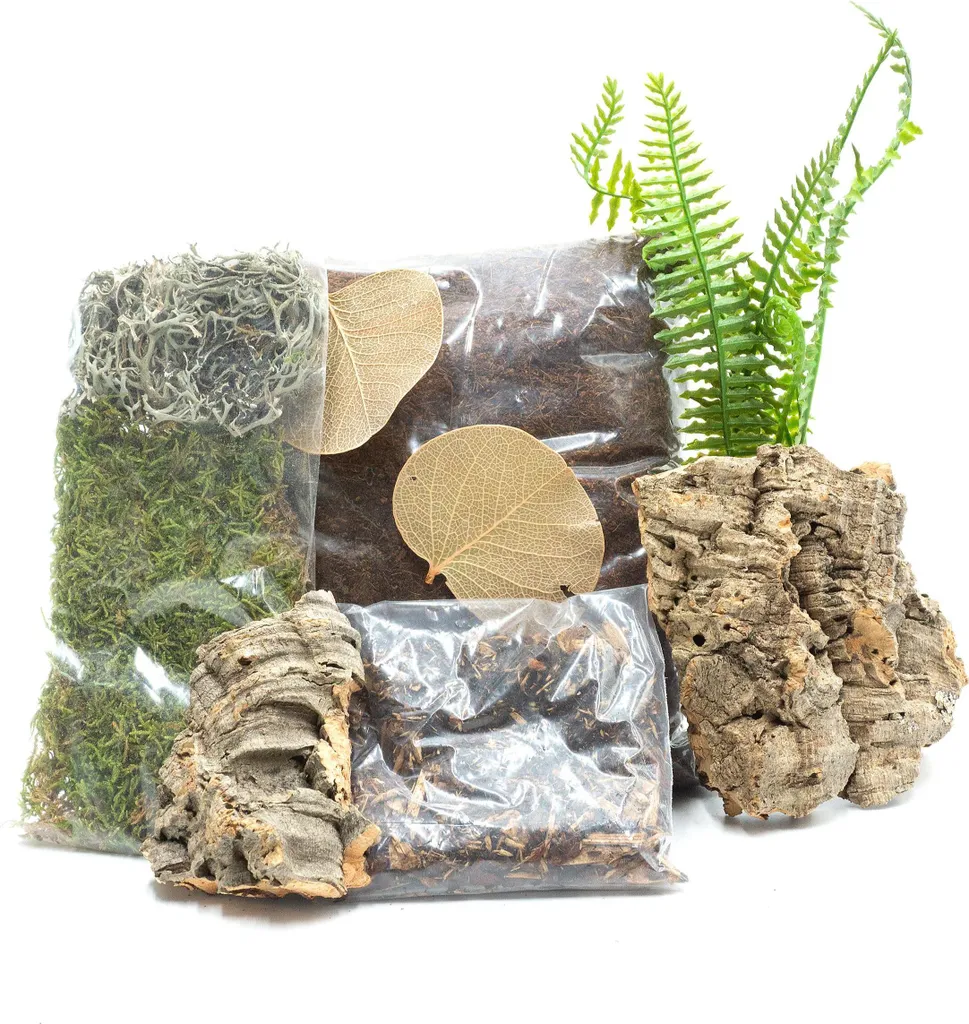 Kit Spider Maker L : Solution pour le Tissage Difficile des Grandes Araignées