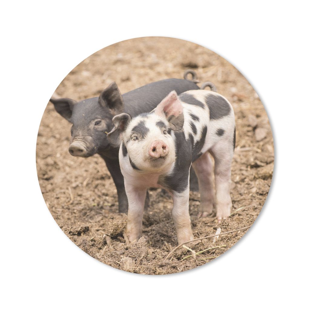 MuchoWow® Mauspad Mousepad Tiere - Schwein - Bauernhof Produktbild 