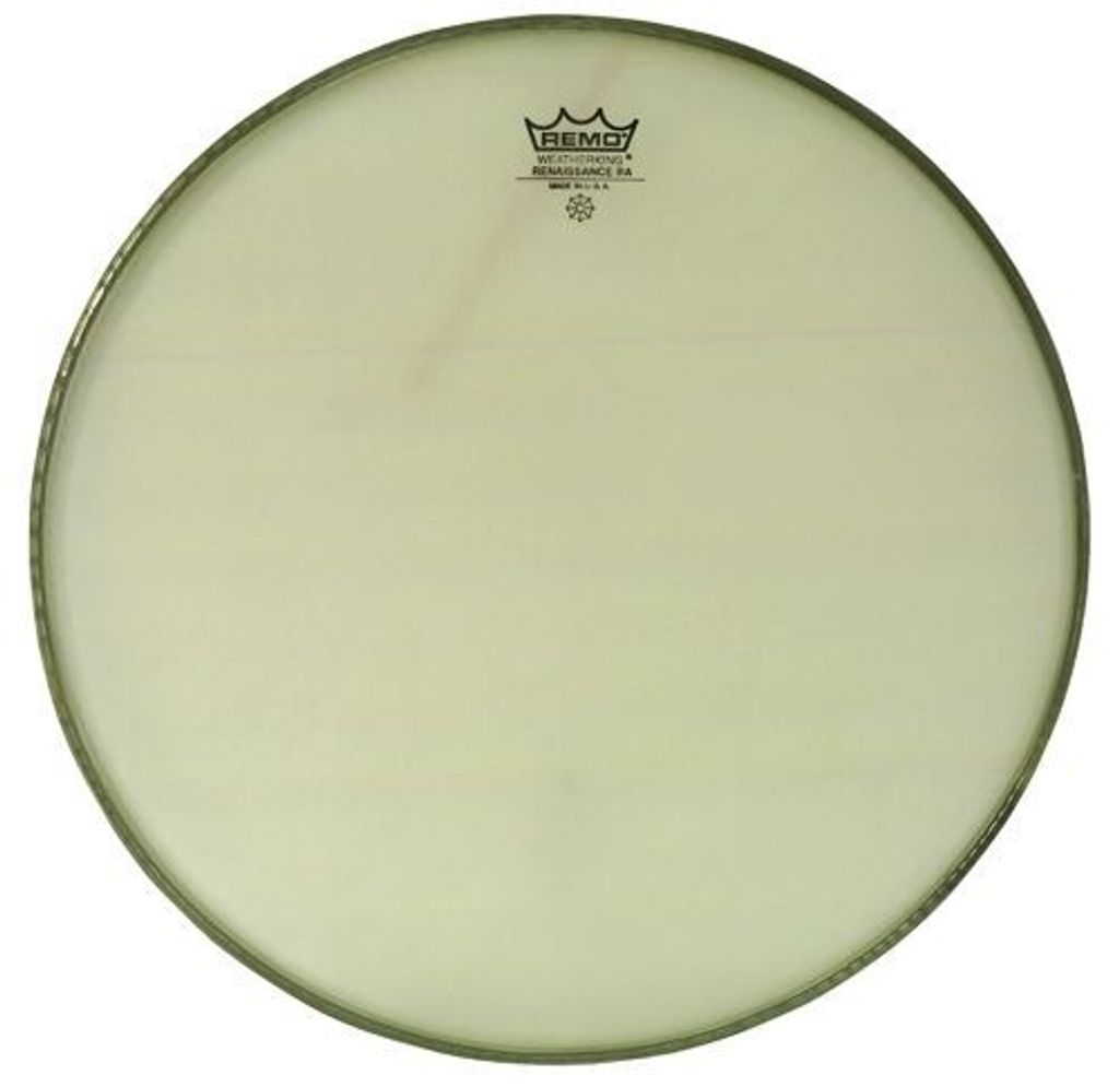 Remo Renaissance Ambassador 13''