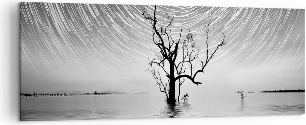 Bild auf Leinwand - Leinwandbild - Einteilig - Schwarzweiß Baum See - 140x50cm - Wand Bild - Wanddeko - Wandbilder - Leinwanddruck - Bilder - Wand...