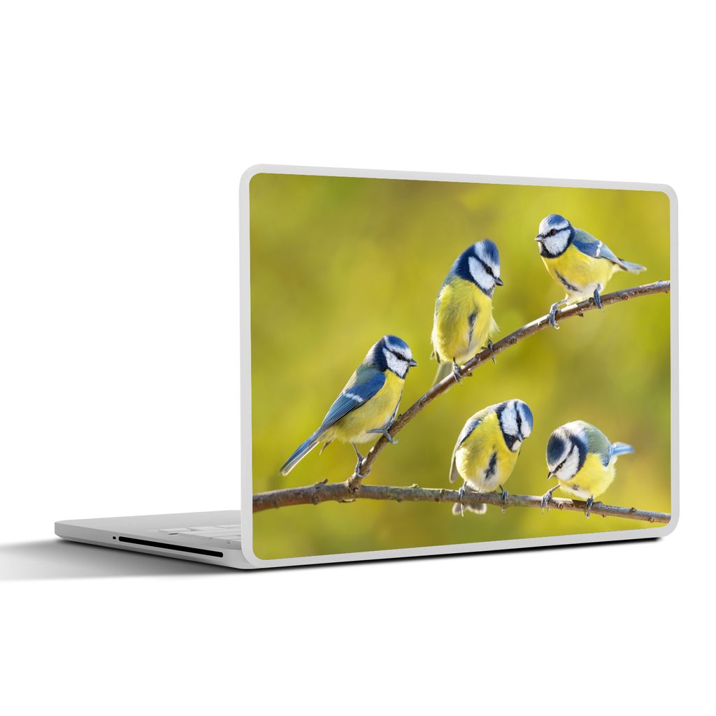 MuchoWow Laptop Aufkleber Sticker Cover Vogel - Blaumeise - Äste - Sonne 25x18 cm - Laptop-Deko