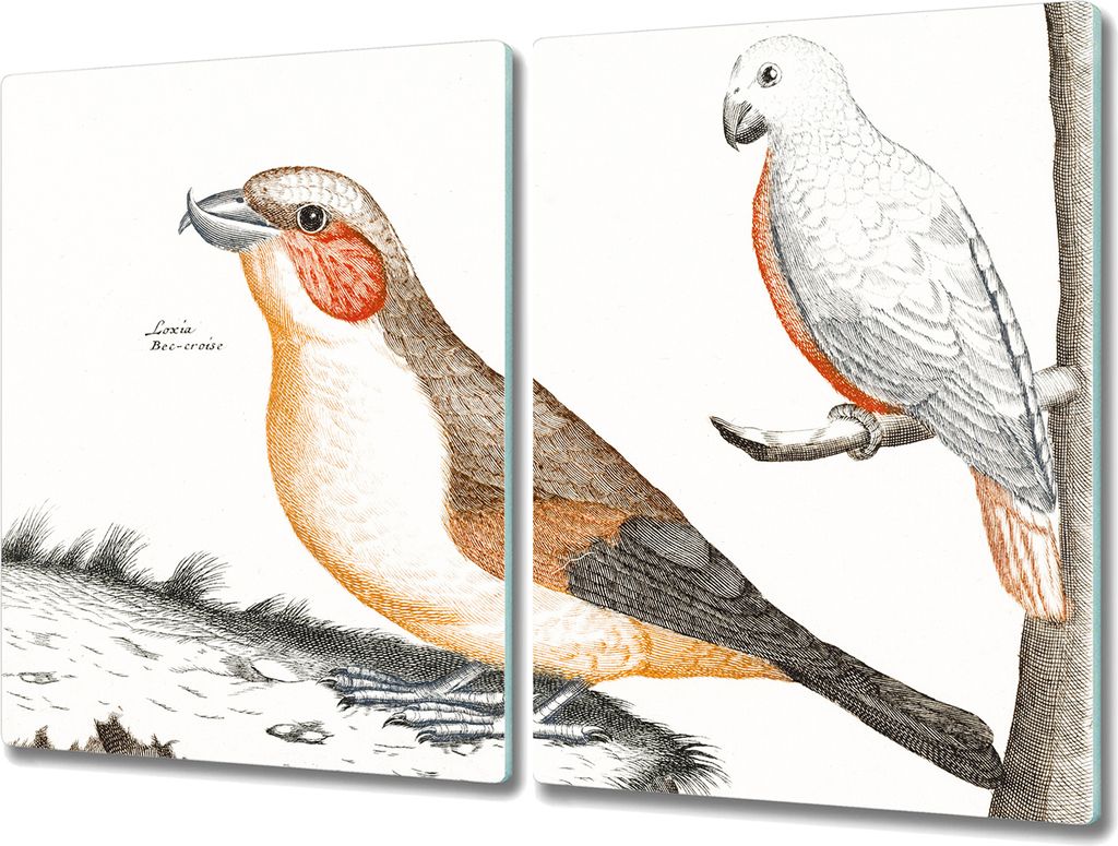 Coloray Hackbrett Küchenbrett Kochplattenabdeckung Schneidebrett Herdabdeckplatte 2x40x52 cm - Tiere Vögel