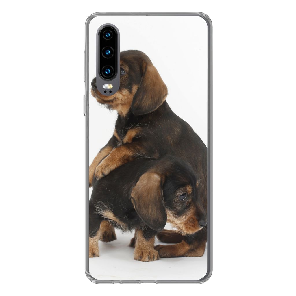 MuchoWow Handyhülle Schutzhülle Hülle für Huawei P30 Studiofoto von zwei süßen Dackeln Silikon Softcase Handy Hülle - Kartenbesitzer